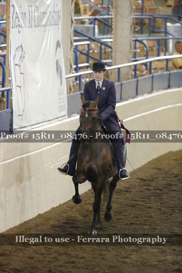 Proof Number 15R11_08476