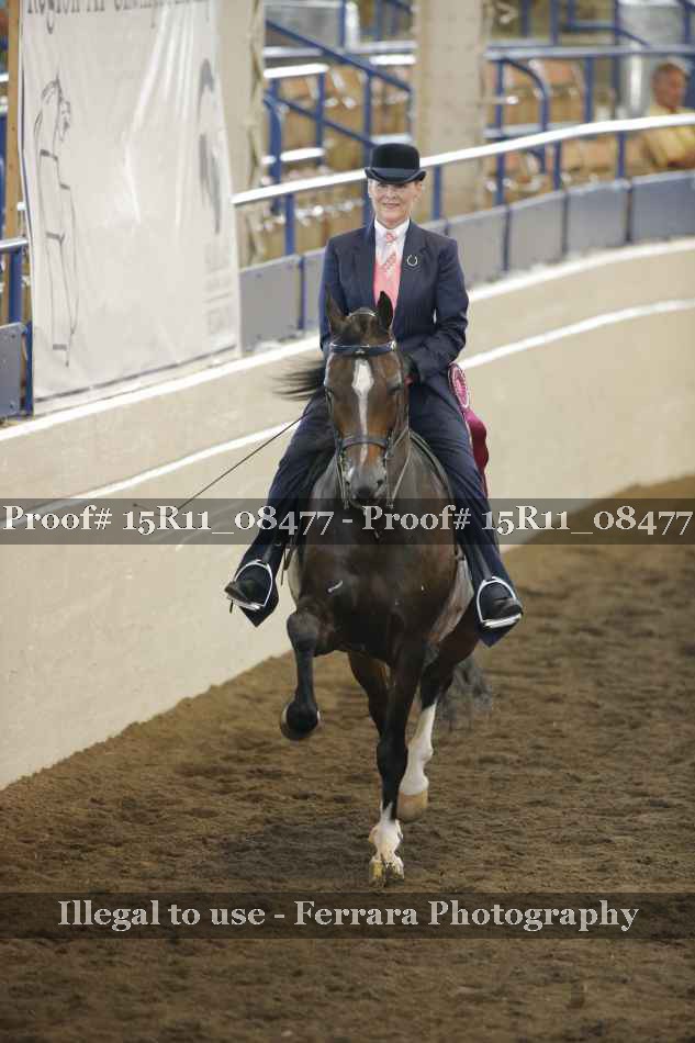 Proof Number 15R11_08477