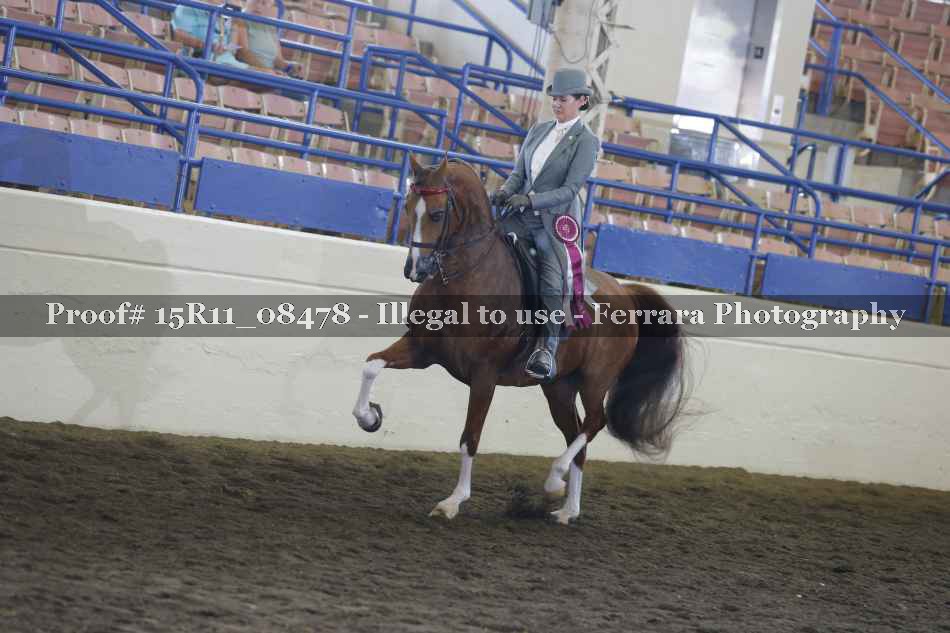 Proof Number 15R11_08478