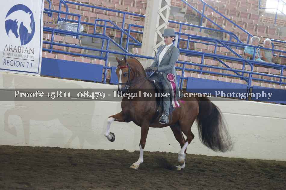 Proof Number 15R11_08479