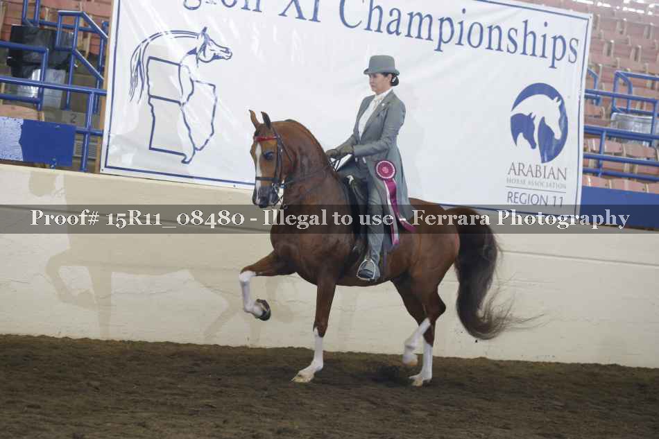 Proof Number 15R11_08480