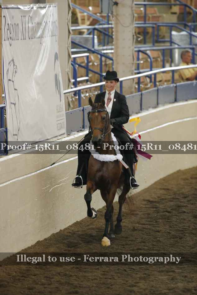 Proof Number 15R11_08481