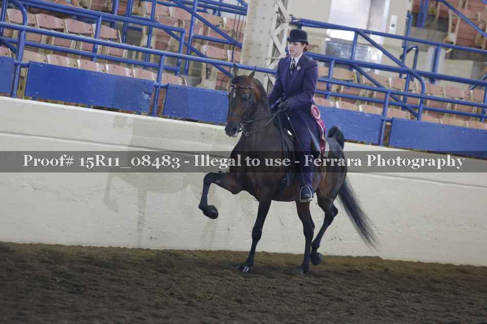 Proof Number 15R11_08483
