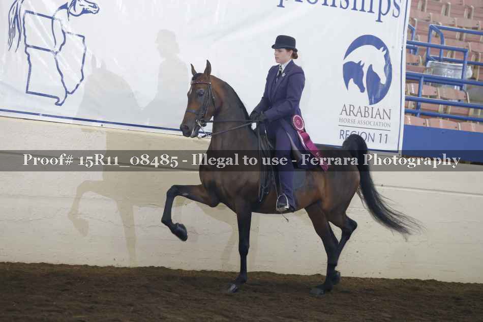 Proof Number 15R11_08485