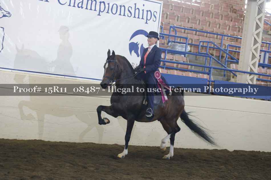 Proof Number 15R11_08487
