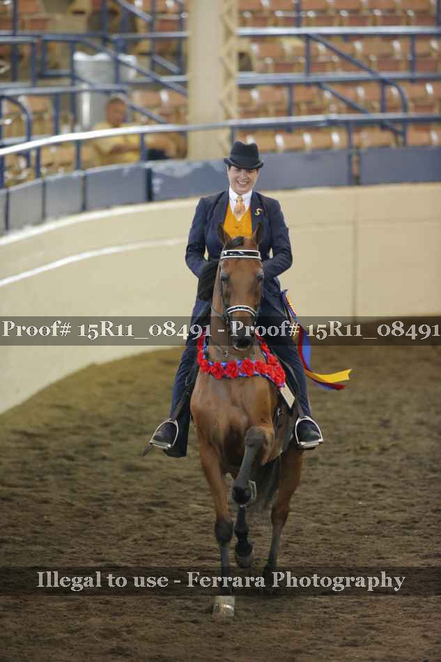 Proof Number 15R11_08491