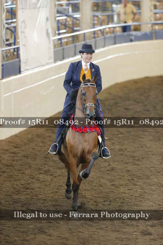 Proof Number 15R11_08492