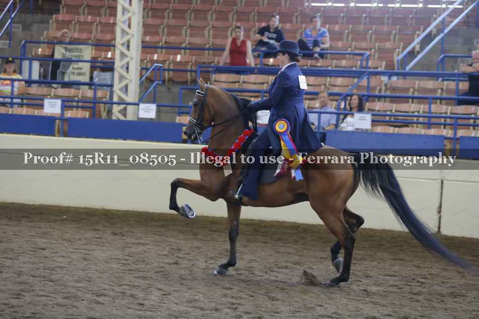 Proof Number 15R11_08505