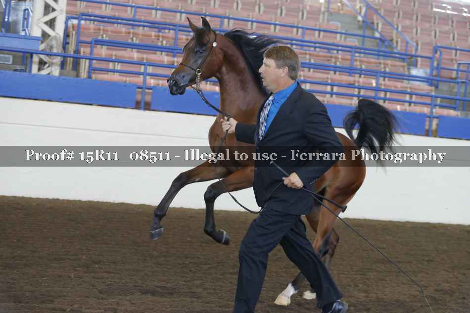 Proof Number 15R11_08511