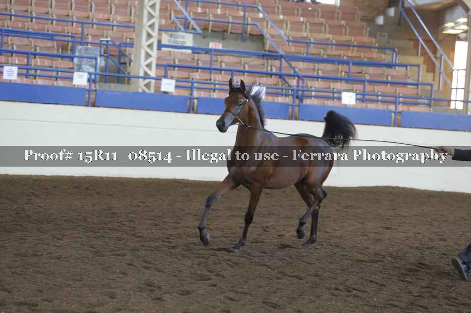 Proof Number 15R11_08514