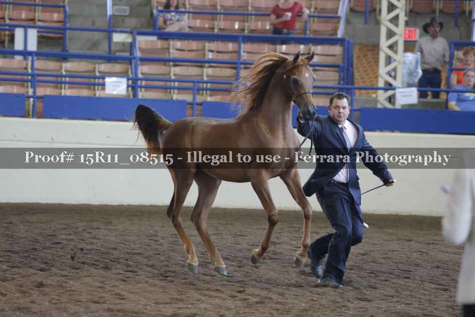 Proof Number 15R11_08515