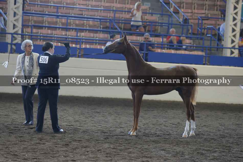 Proof Number 15R11_08523