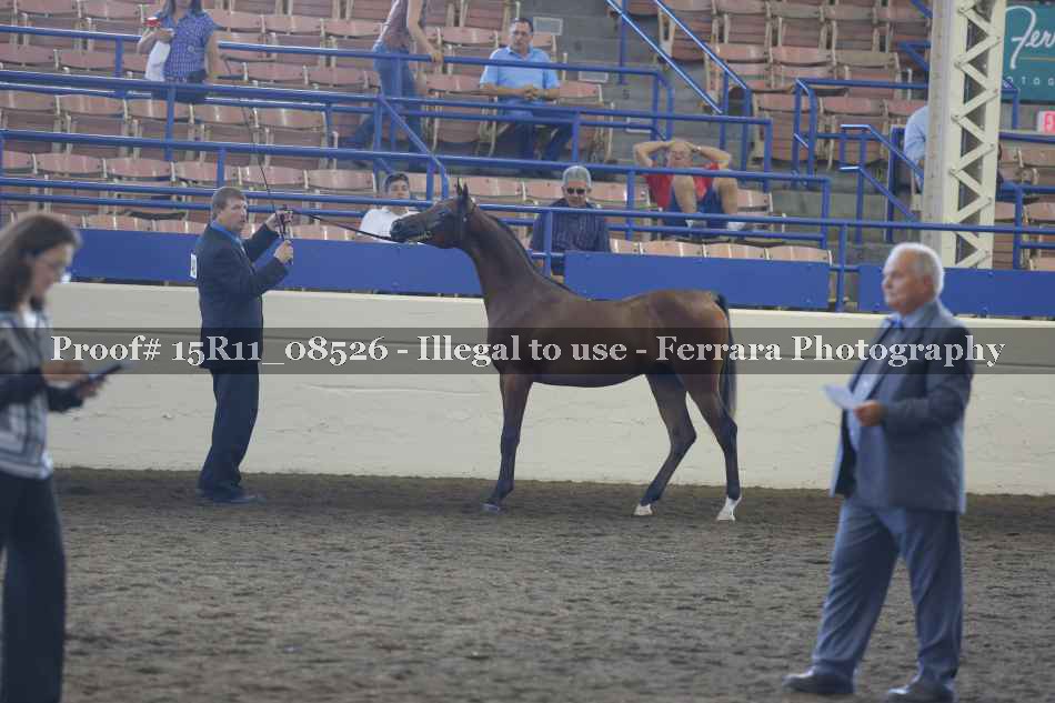 Proof Number 15R11_08526
