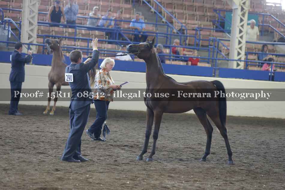 Proof Number 15R11_08542