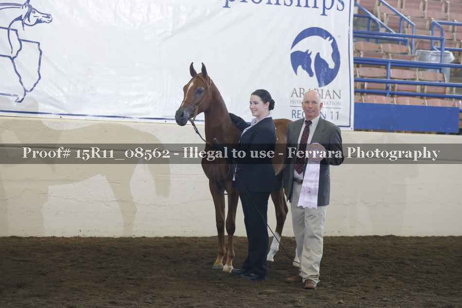 Proof Number 15R11_08562