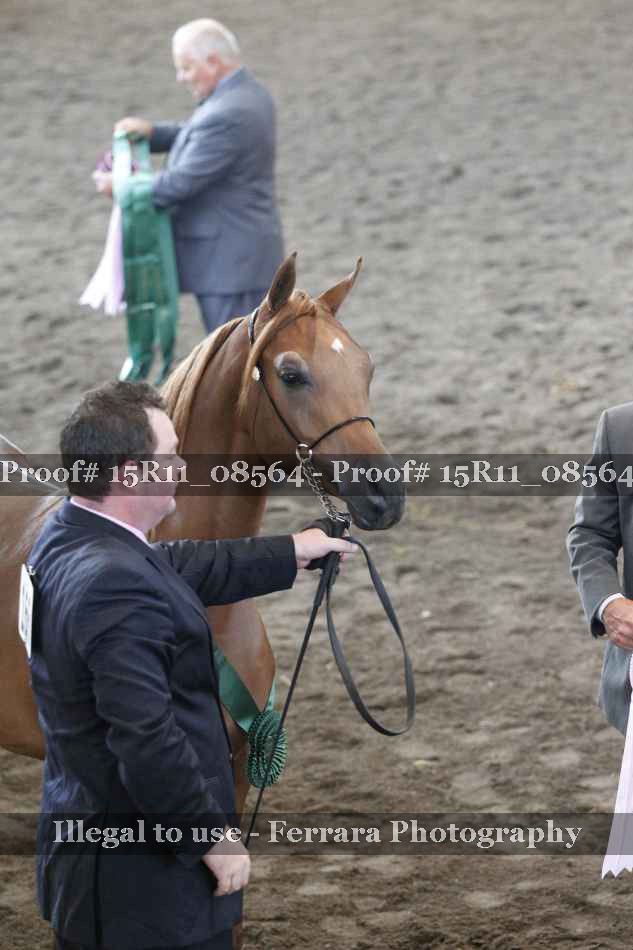 Proof Number 15R11_08564