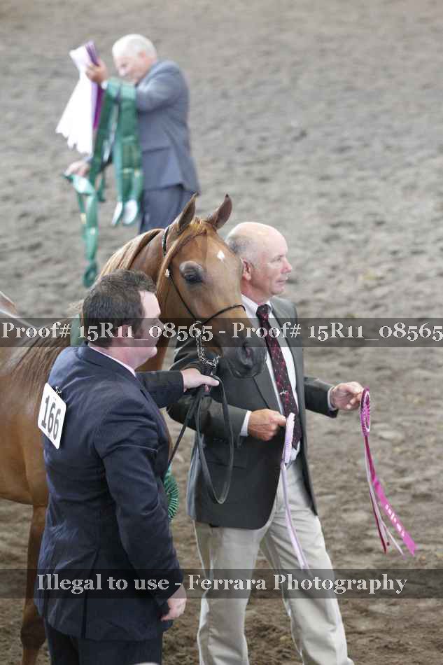 Proof Number 15R11_08565