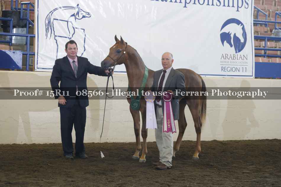 Proof Number 15R11_08566