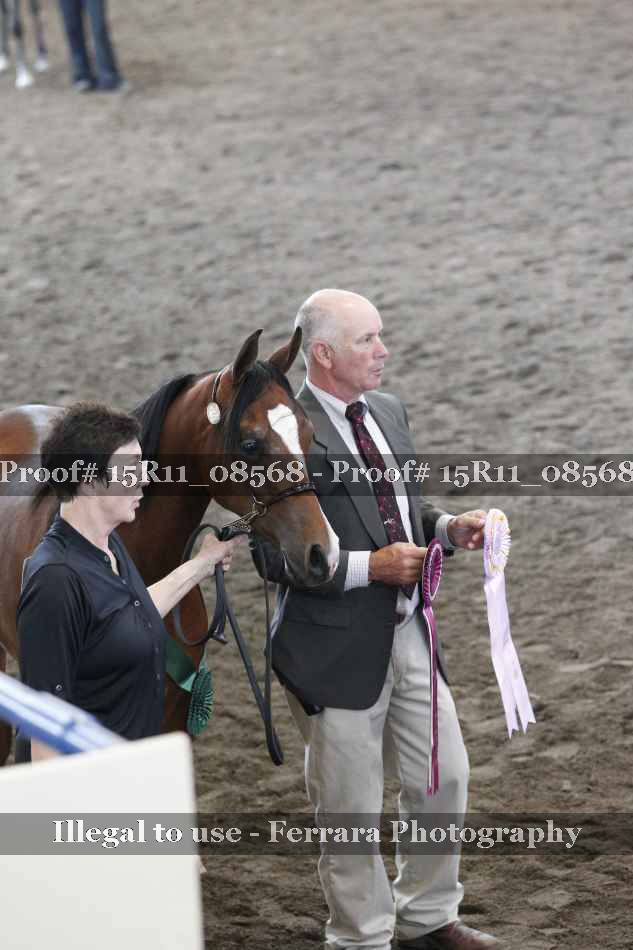 Proof Number 15R11_08568