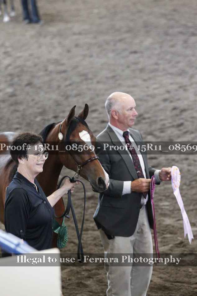 Proof Number 15R11_08569