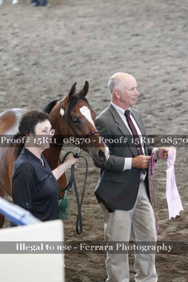 Proof Number 15R11_08570