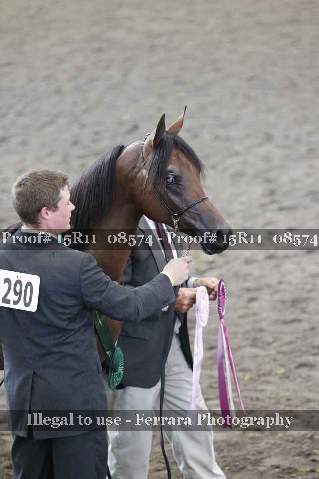 Proof Number 15R11_08574