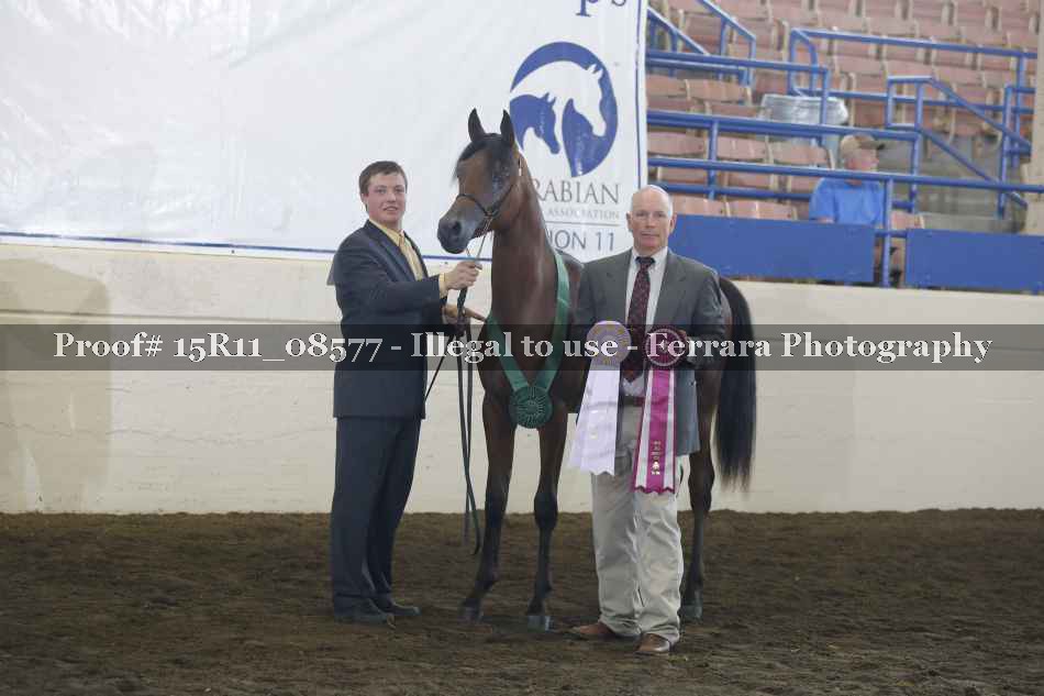 Proof Number 15R11_08577