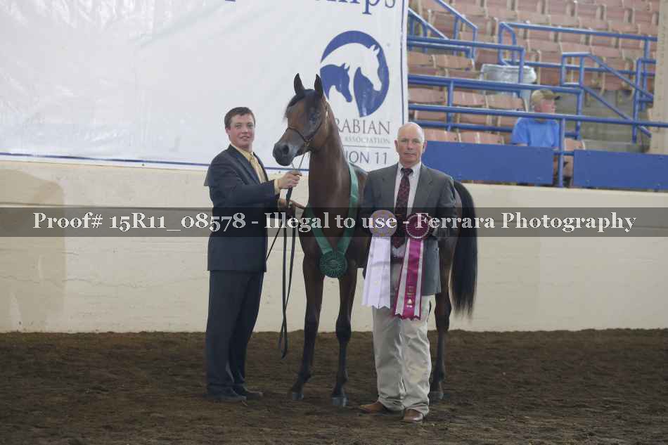 Proof Number 15R11_08578