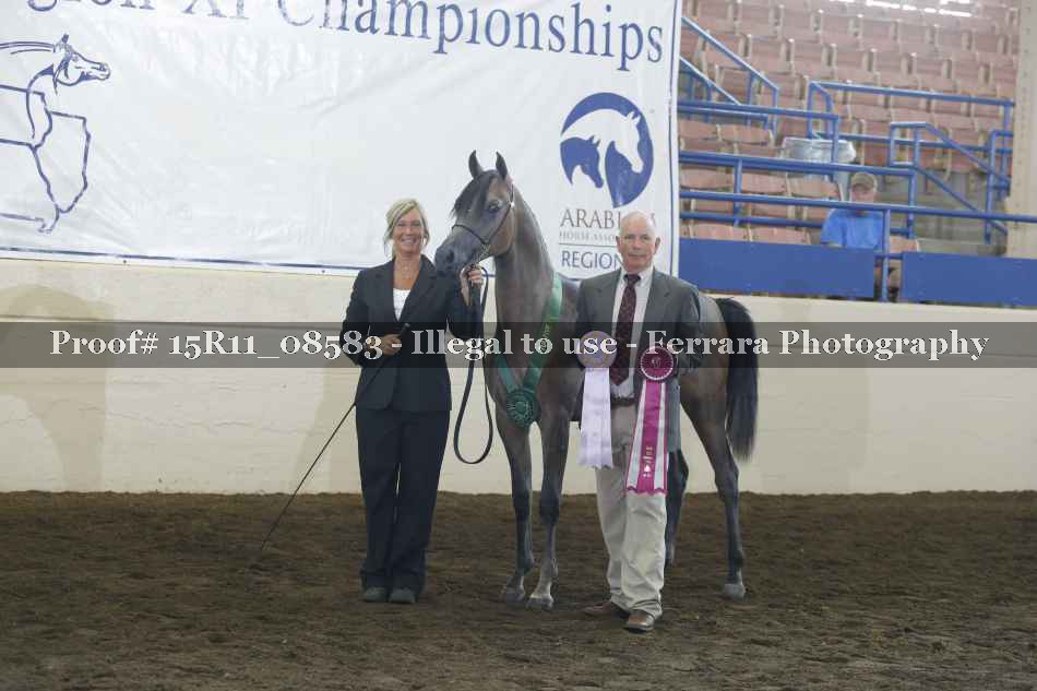 Proof Number 15R11_08583