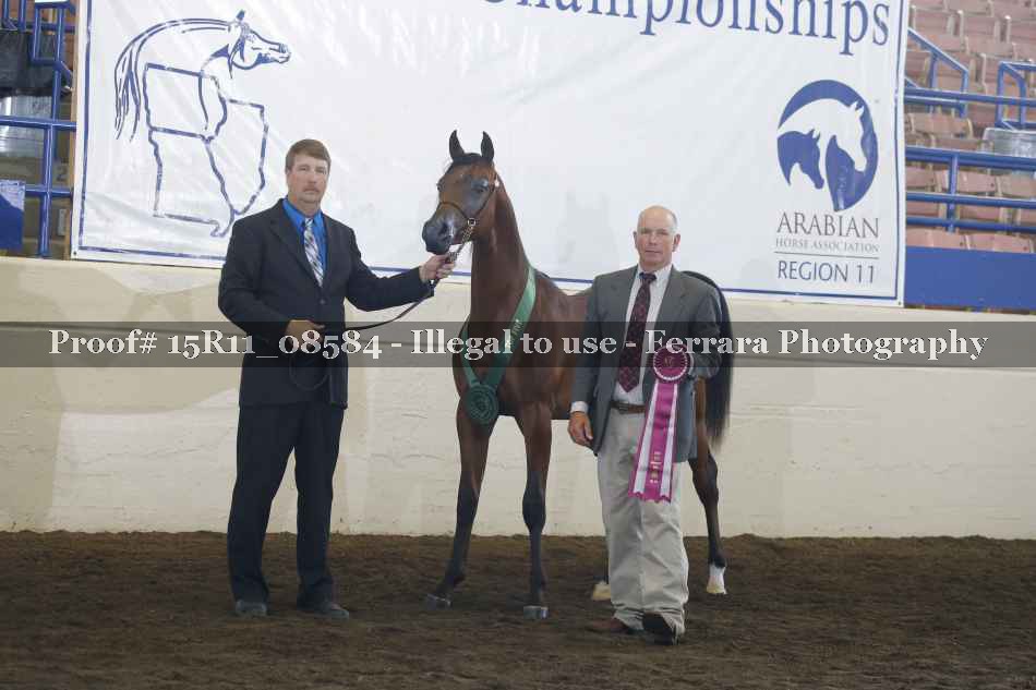 Proof Number 15R11_08584