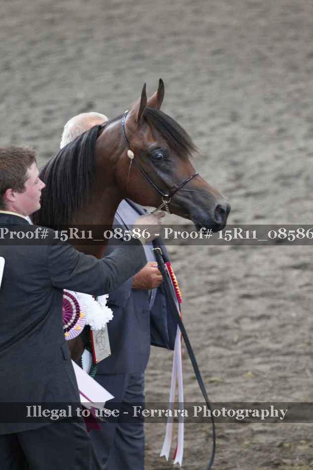 Proof Number 15R11_08586