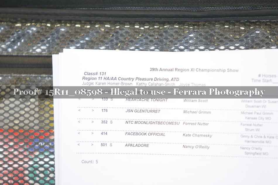 Proof Number 15R11_08598