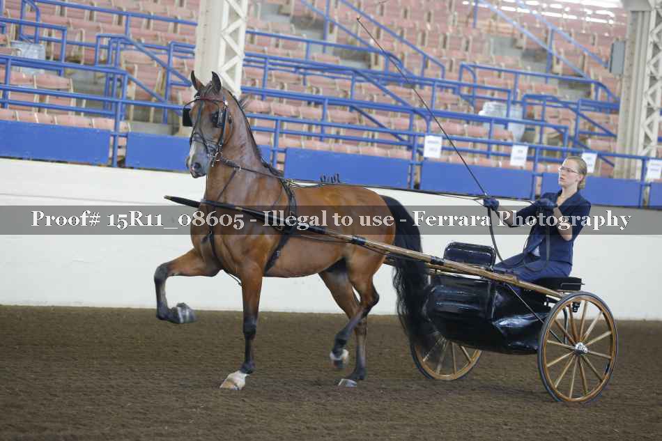 Proof Number 15R11_08605