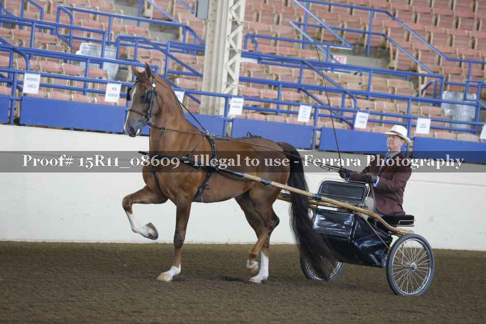 Proof Number 15R11_08609