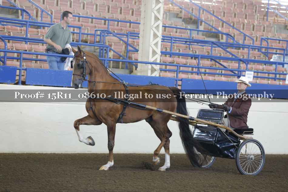 Proof Number 15R11_08610