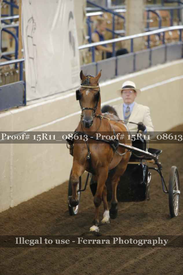 Proof Number 15R11_08613