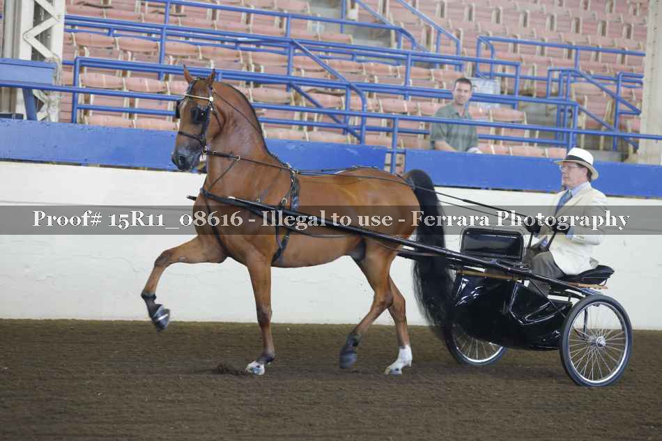 Proof Number 15R11_08616