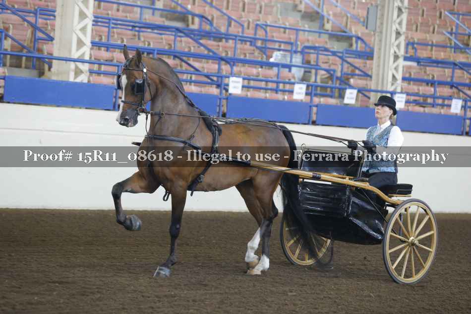 Proof Number 15R11_08618