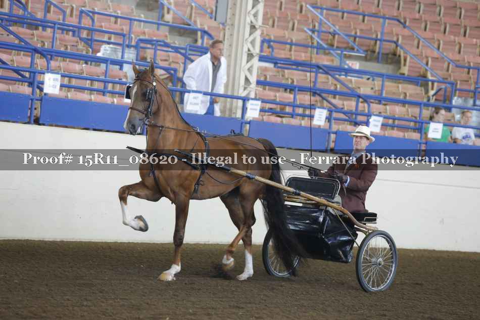 Proof Number 15R11_08620