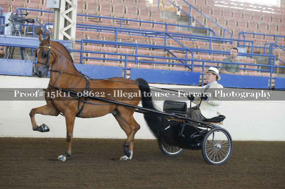 Proof Number 15R11_08622