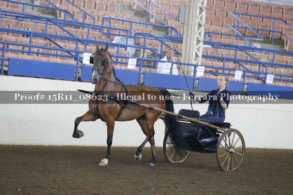 Proof Number 15R11_08623