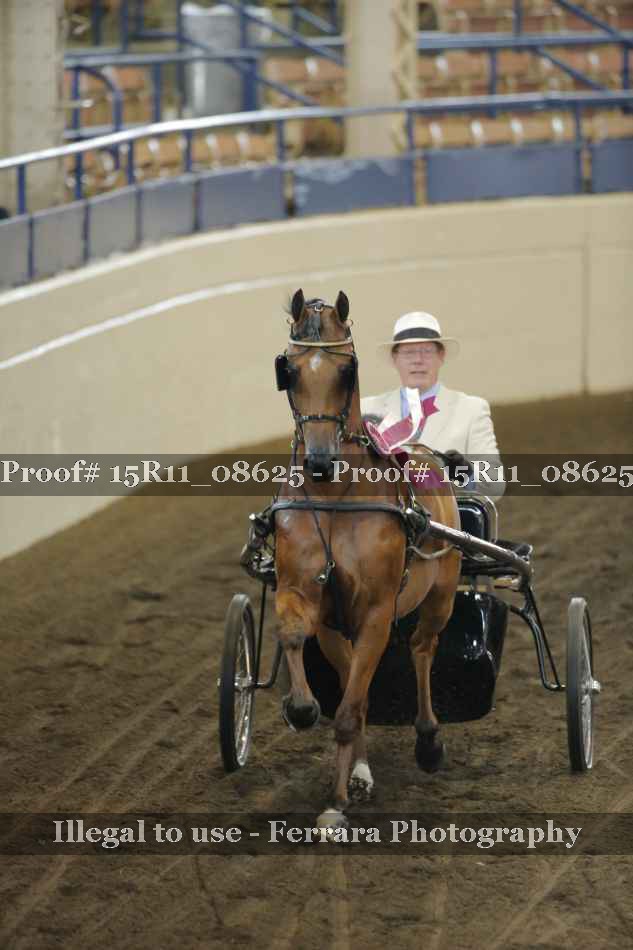 Proof Number 15R11_08625