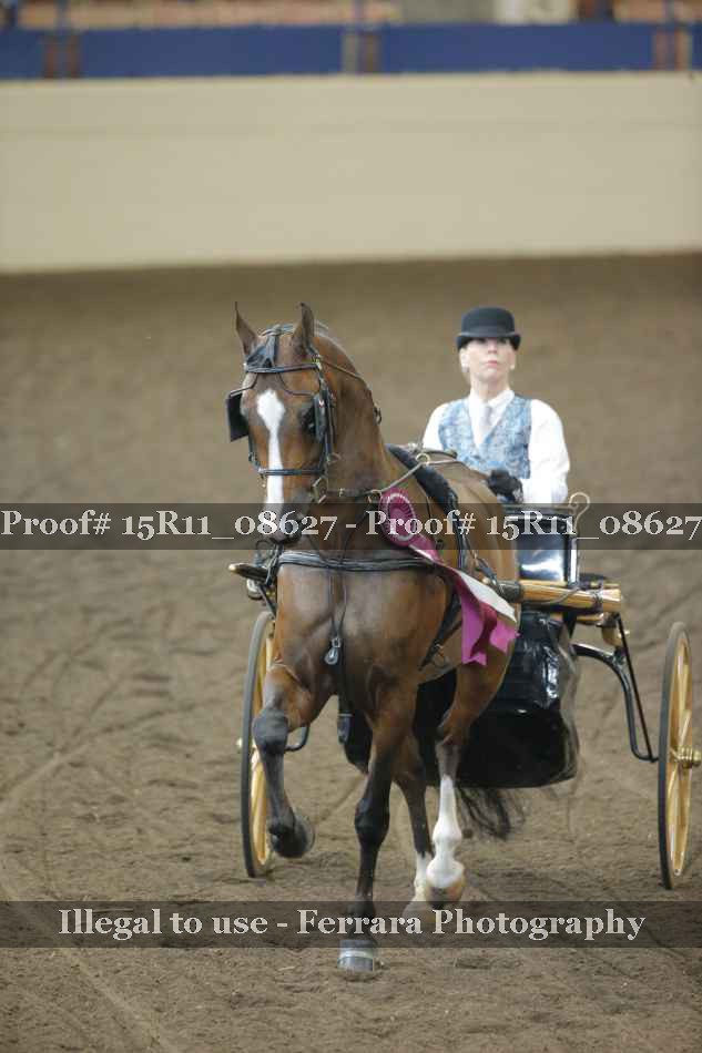Proof Number 15R11_08627