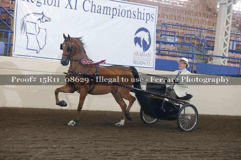Proof Number 15R11_08629