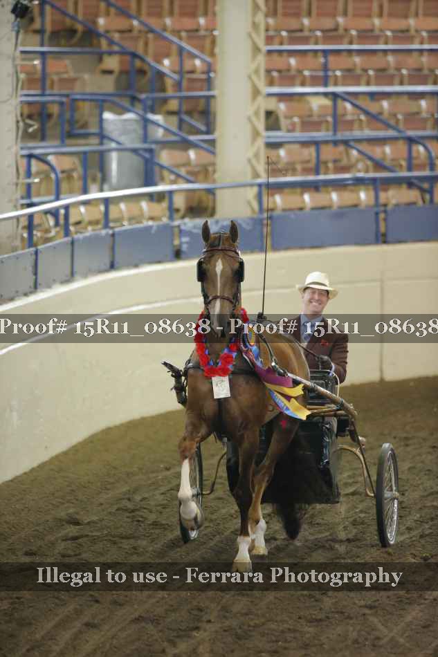 Proof Number 15R11_08638