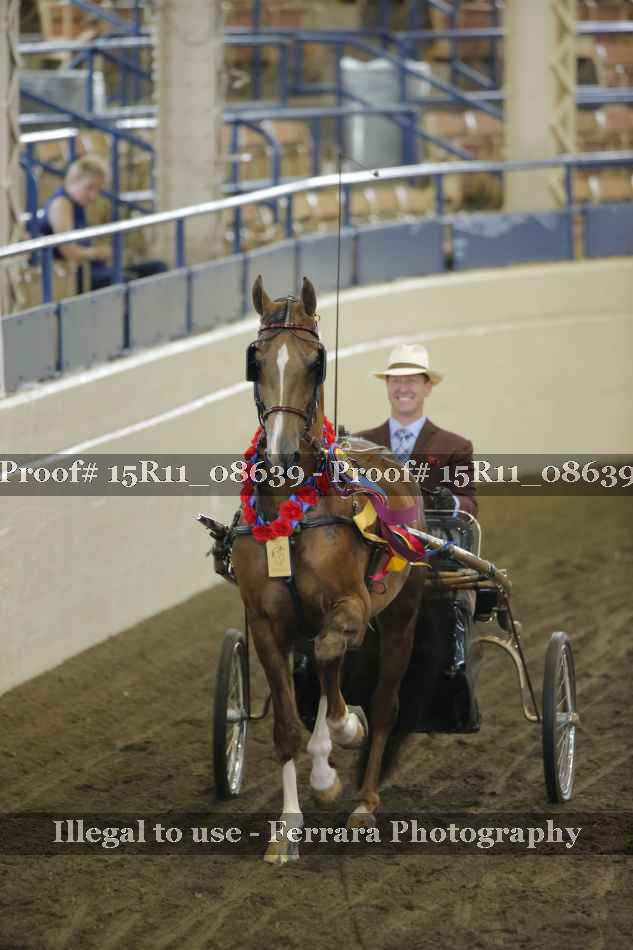 Proof Number 15R11_08639