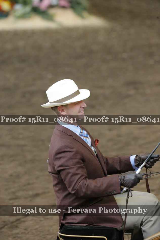 Proof Number 15R11_08641