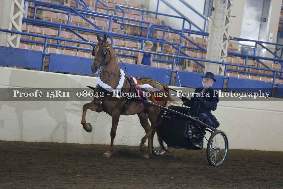 Proof Number 15R11_08642
