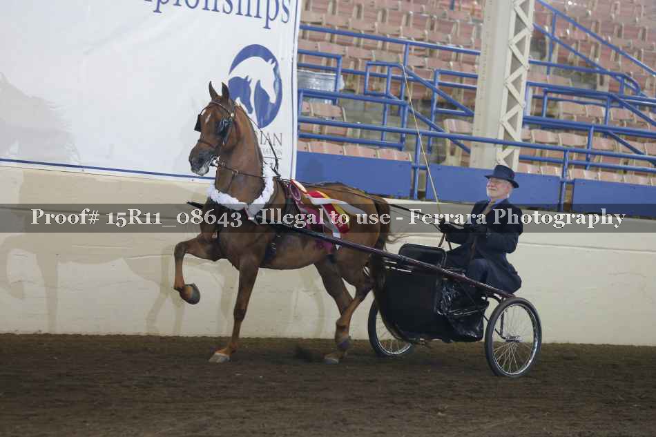 Proof Number 15R11_08643