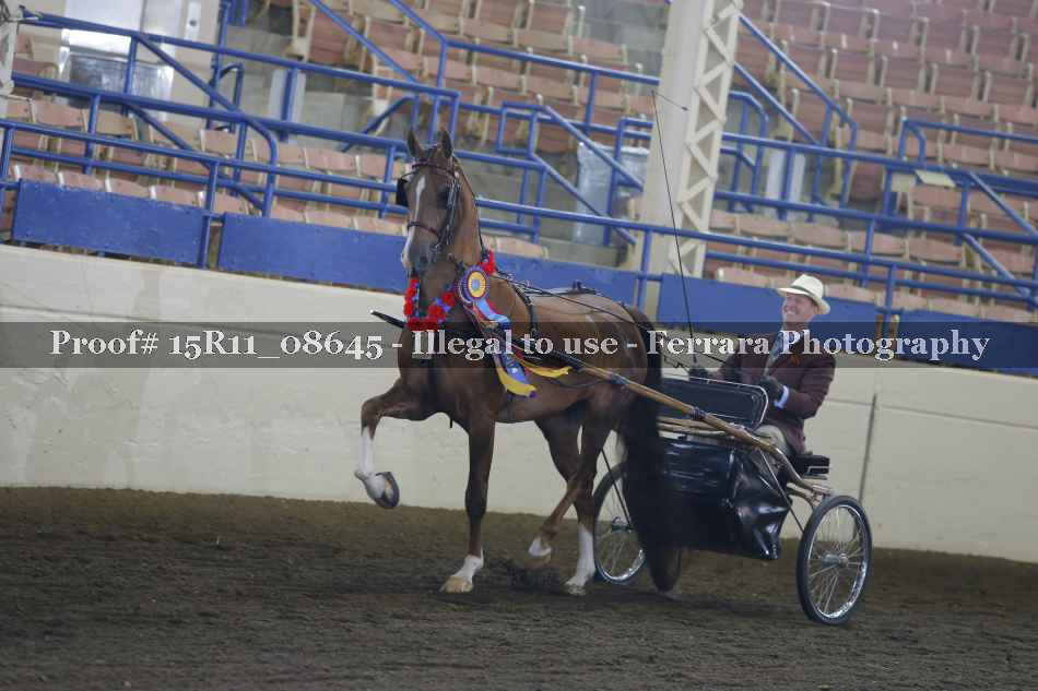 Proof Number 15R11_08645